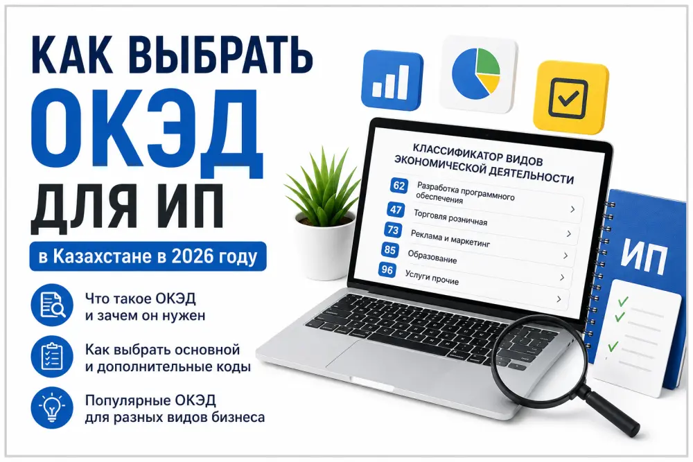 Как выбрать ОКЭД для ИП